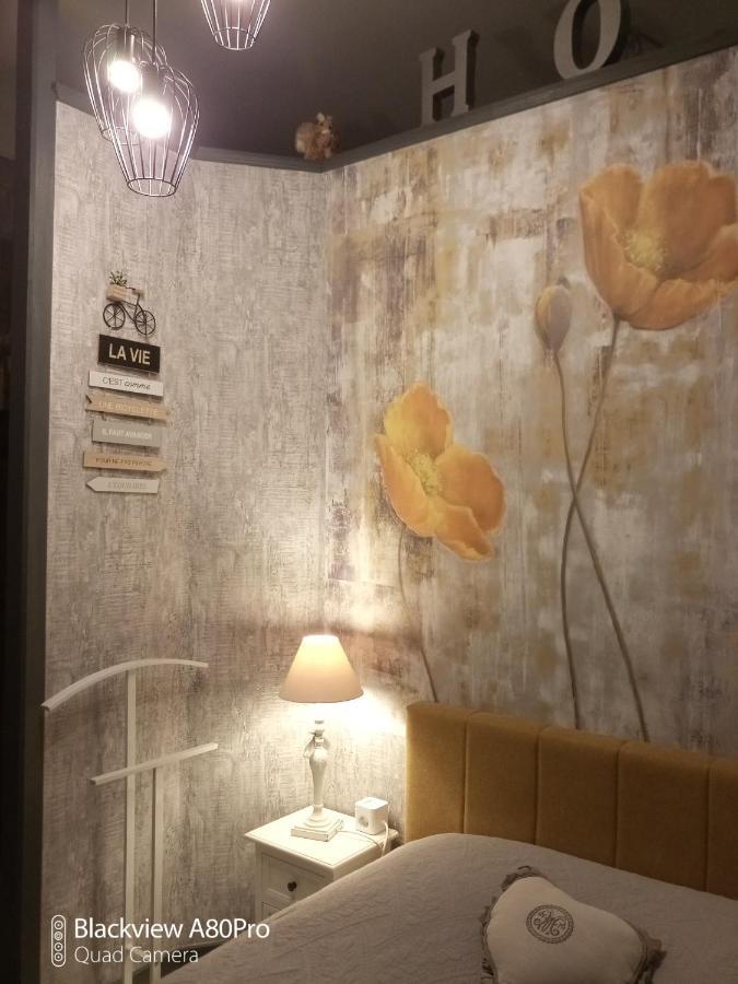 Studio Malou, Cuisine, Salle D'Eau, Terrasse Amenagee Olliergues Bagian luar foto