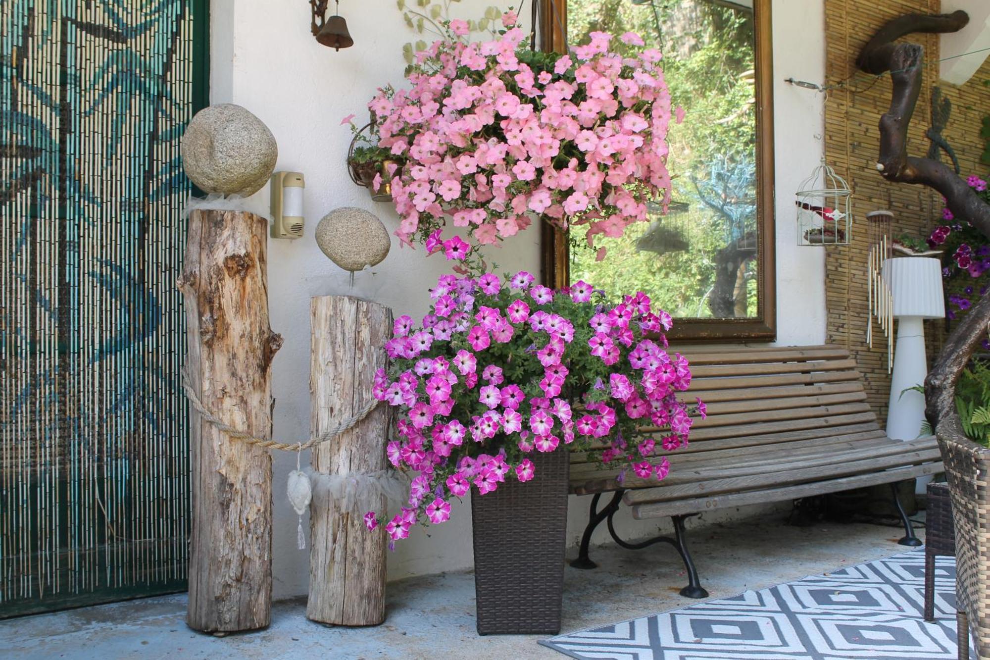 Studio Malou, Cuisine, Salle D'Eau, Terrasse Amenagee Olliergues Bagian luar foto